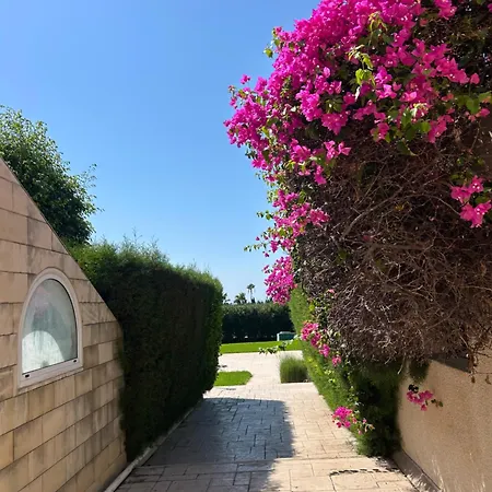 Brand New Sea View Walking Distance To The Sea 200m לימסול
